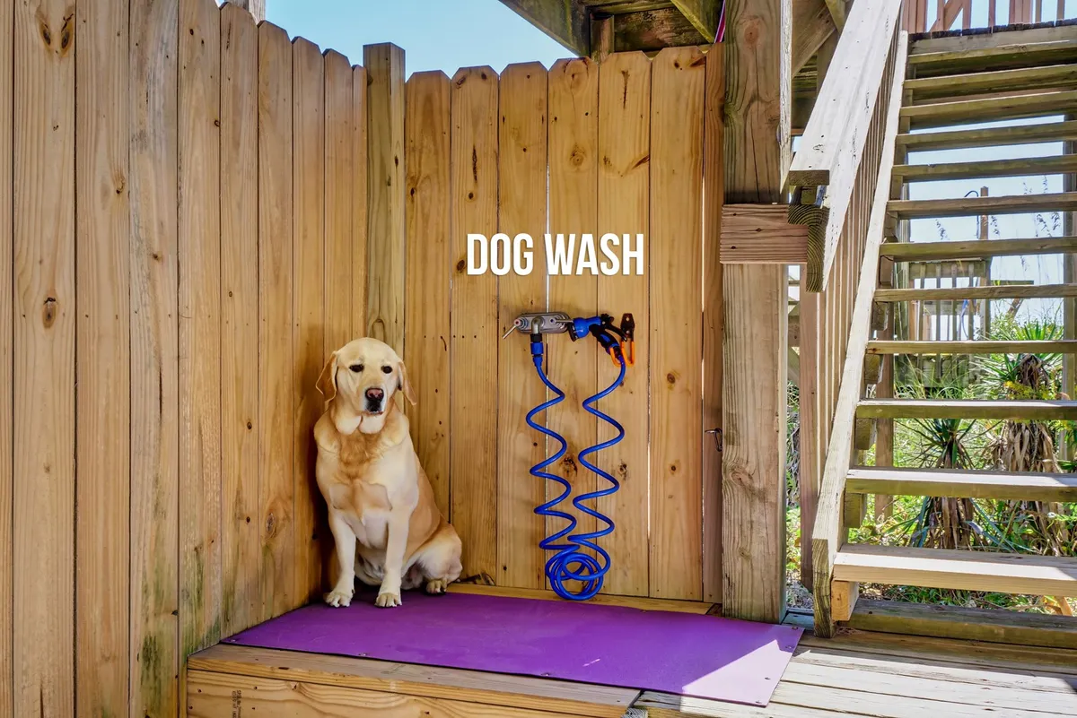 This image features an outdoor dog wash station with a golden retriever being washed, steps leading up to the home, and a friendly, welcoming atmosphere. The elevated dog wash, hose, and cheerful pet-owner interaction are clearly visible.